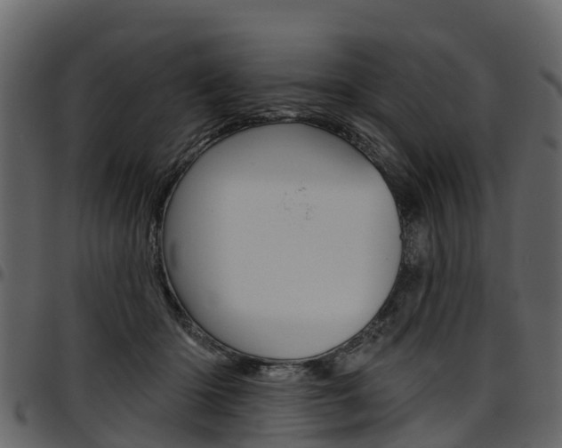 X0000097610414200802290801