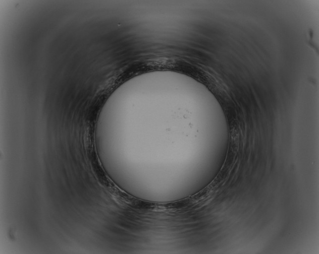 X0000097610416200802290801