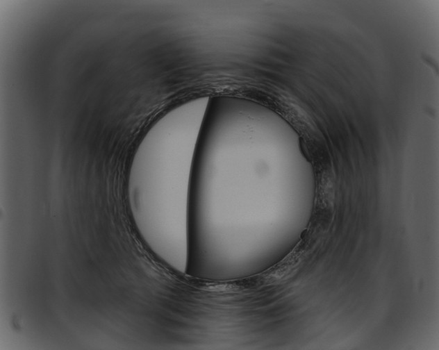 X0000097610417200802290801