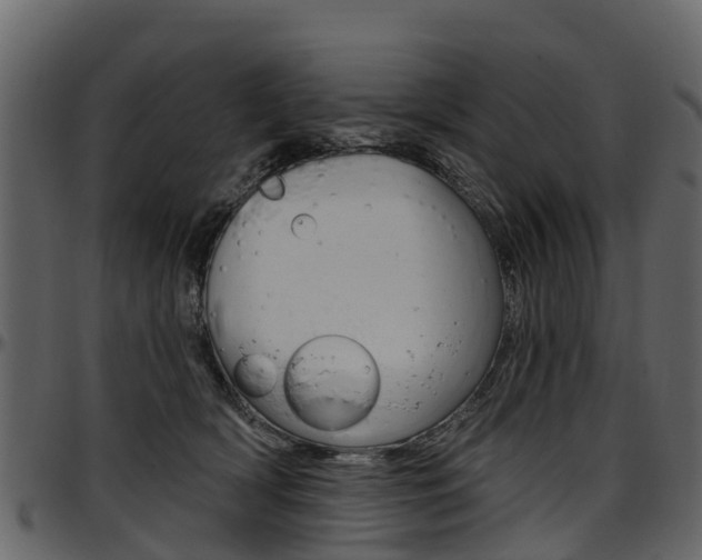 X0000097610418200802290801