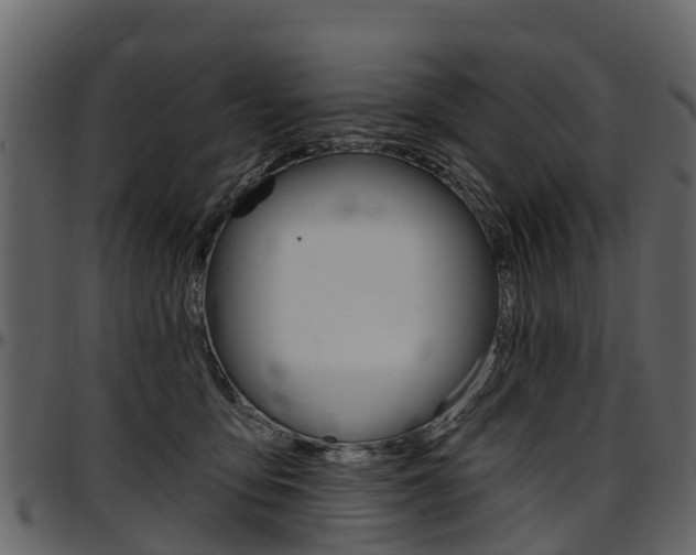 X0000097610419200802290800