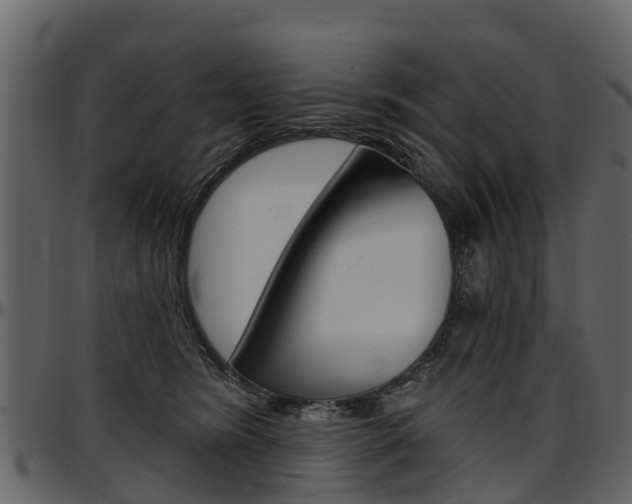 X0000097610420200802290800