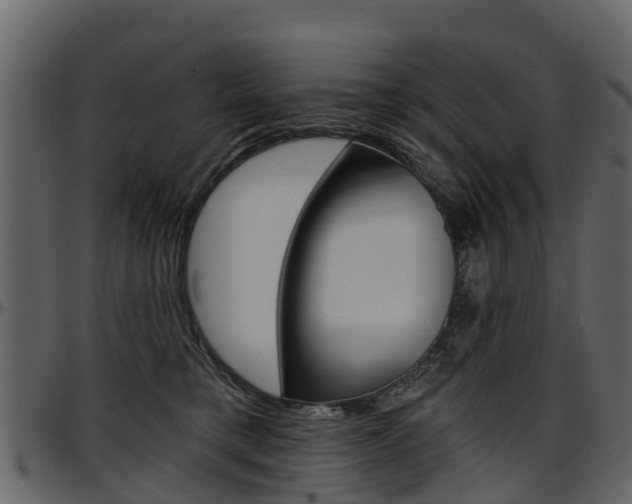 X0000097610421200802290800