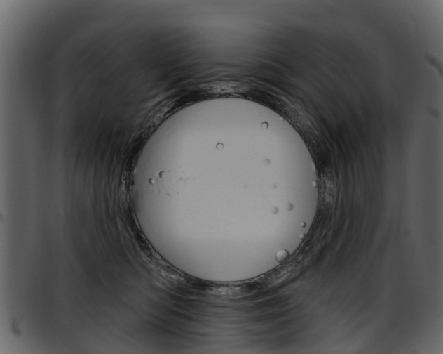 X0000097610422200802290800