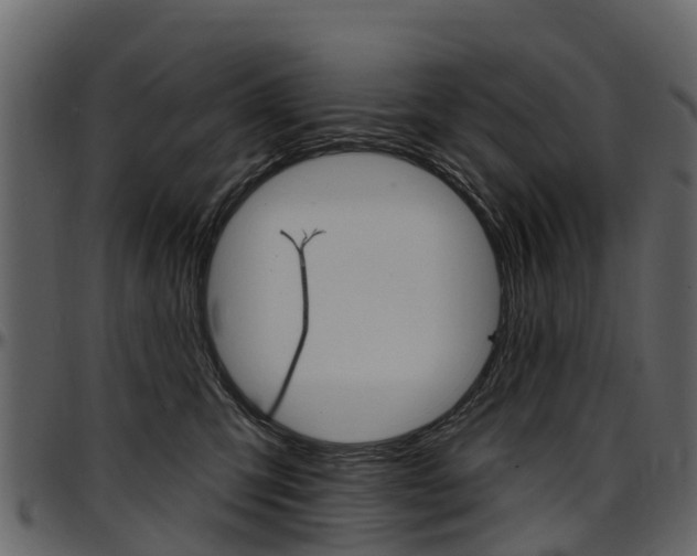 X0000097610423200802290800