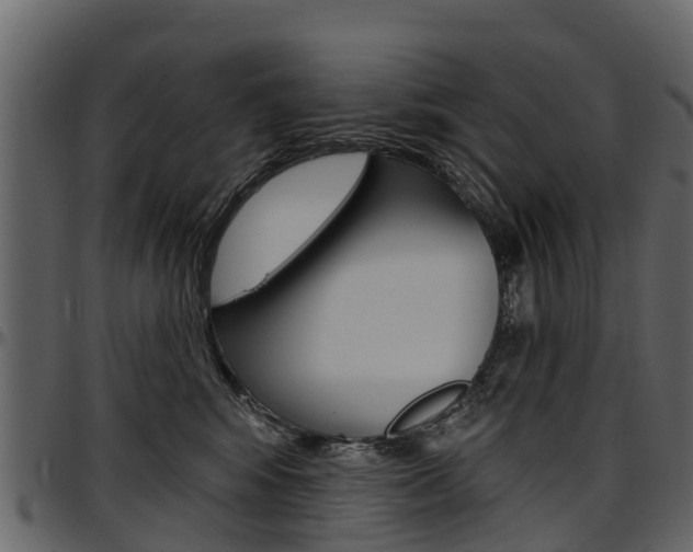 X0000097610424200802290800