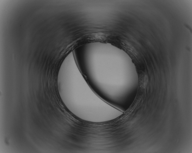 X0000097610425200802290800
