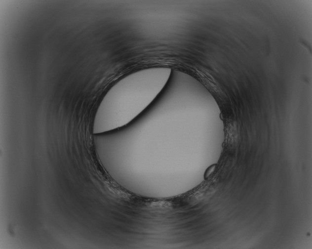 X0000097610426200802290800