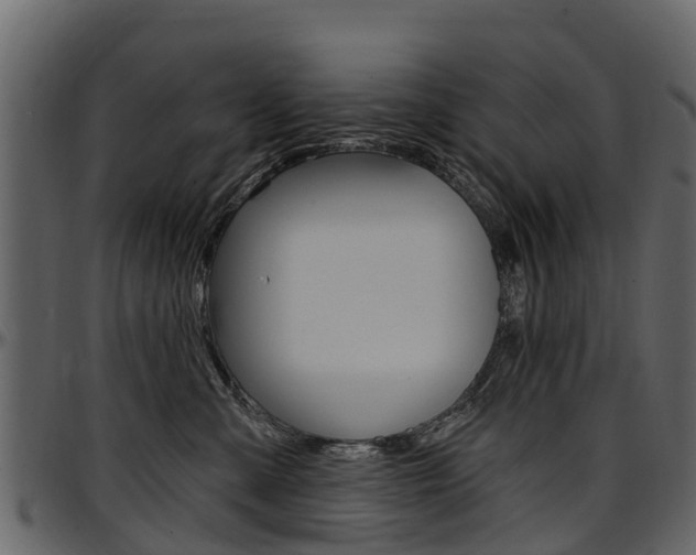 X0000097610427200802290800