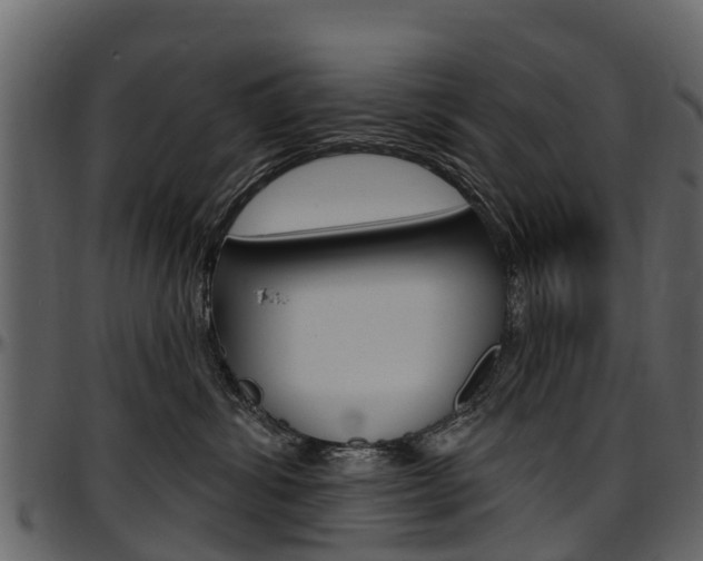 X0000097610428200802290800