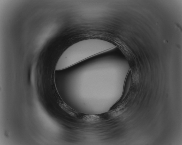 X0000097610429200802290800