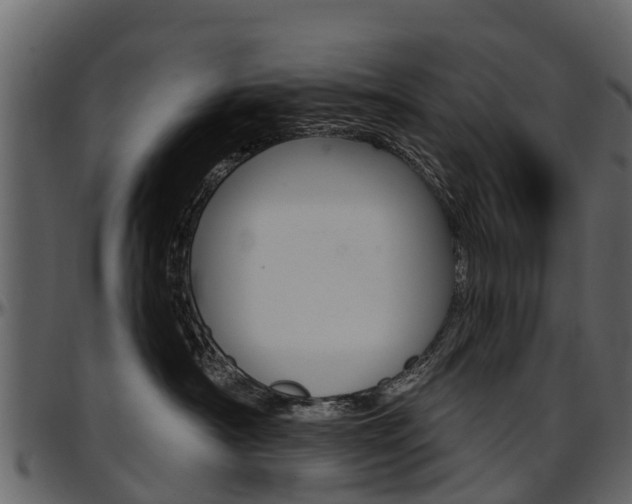 X0000097610430200802290800