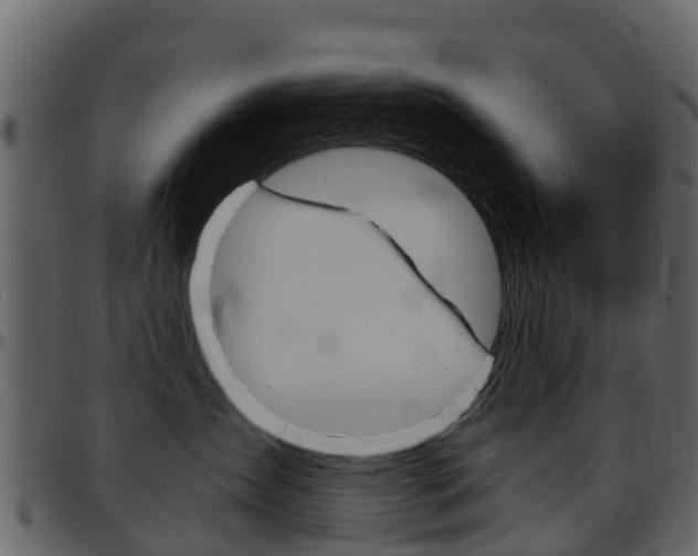 X0000097610431200802290800