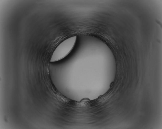 X0000097610432200802290800