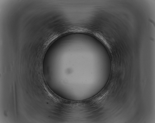 X0000097610433200802290800