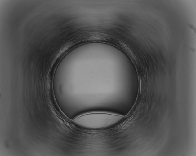 X0000097610435200802290800