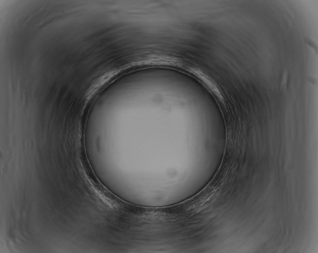 X0000097610437200802290800