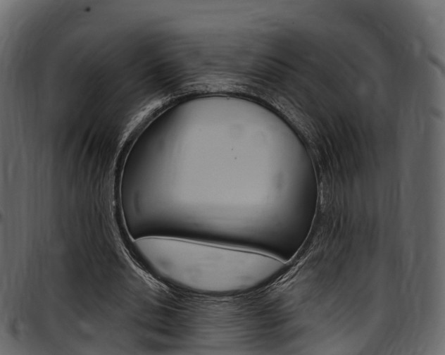 X0000097610438200802290800
