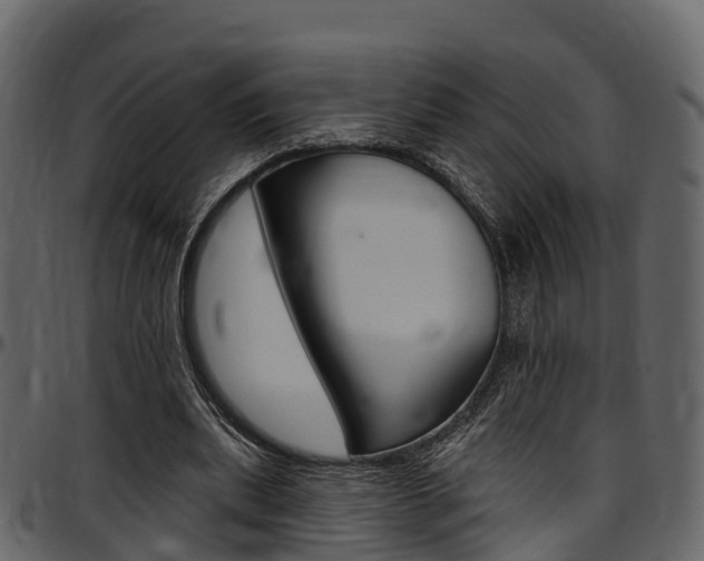 X0000097610439200802290800