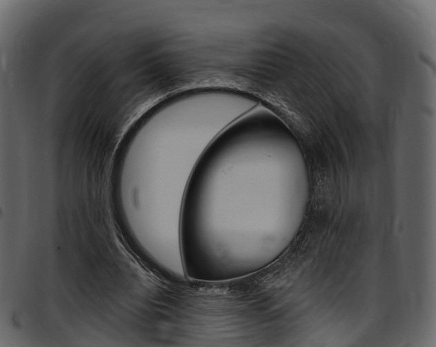 X0000097610440200802290800