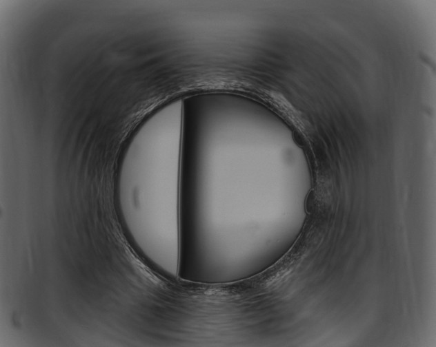 X0000097610441200802290800