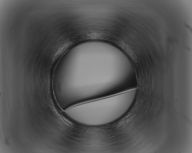 X0000097610442200802290800