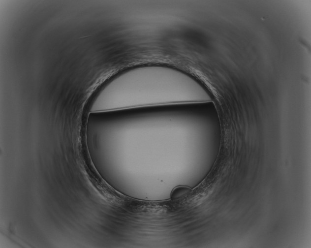 X0000097610443200802290800