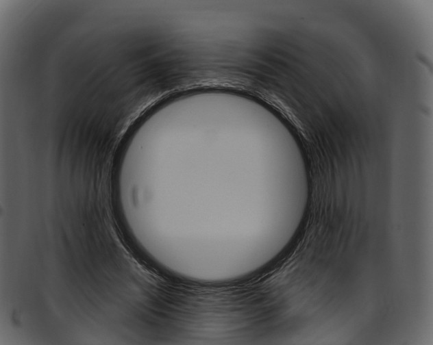 X0000097610444200802290800
