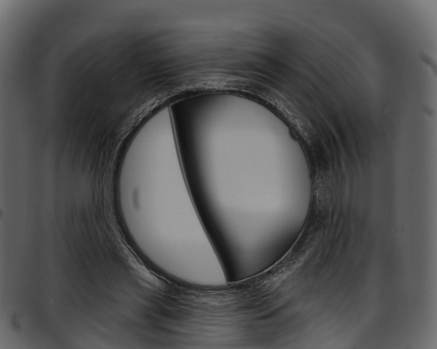 X0000097610445200802290800