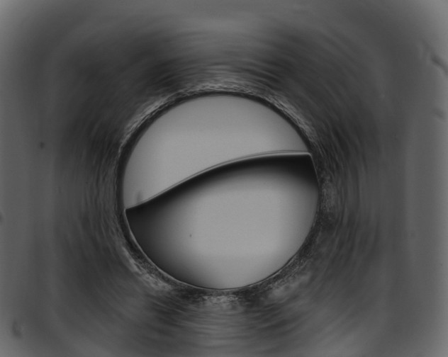 X0000097610446200802290800