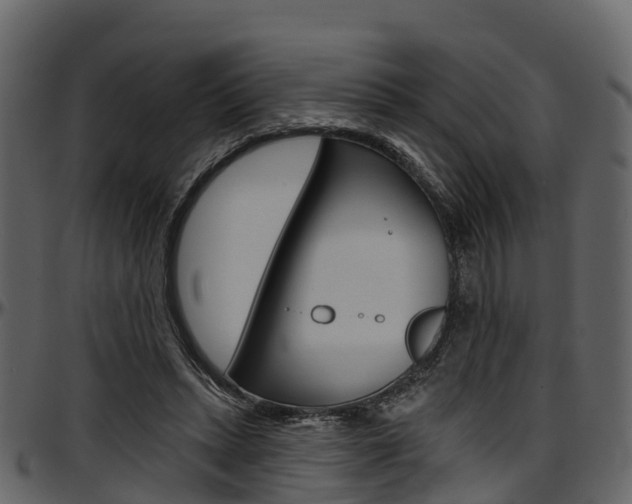 X0000097610447200802290800