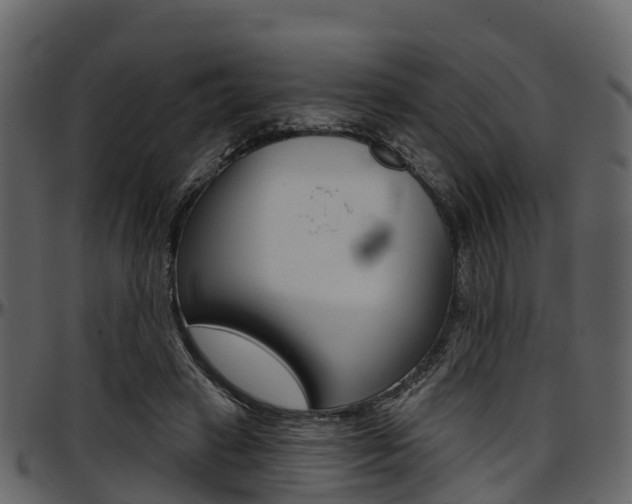 X0000097610449200802290800