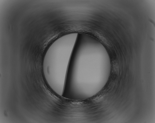 X0000097610450200802290800
