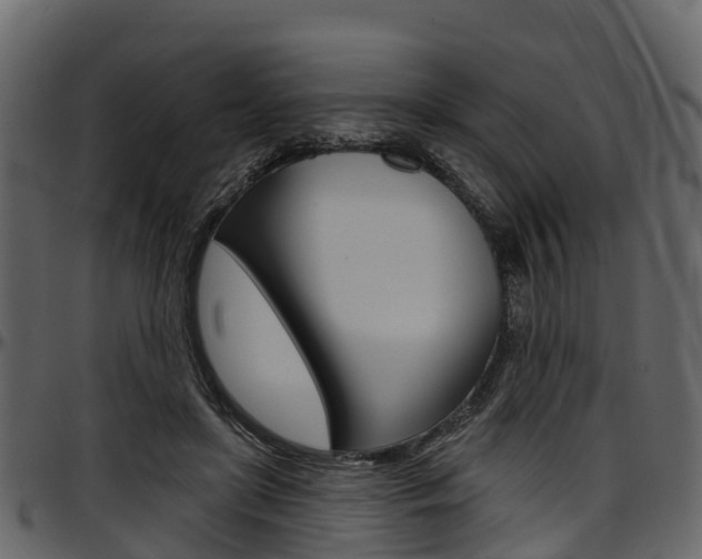 X0000097610451200802290800