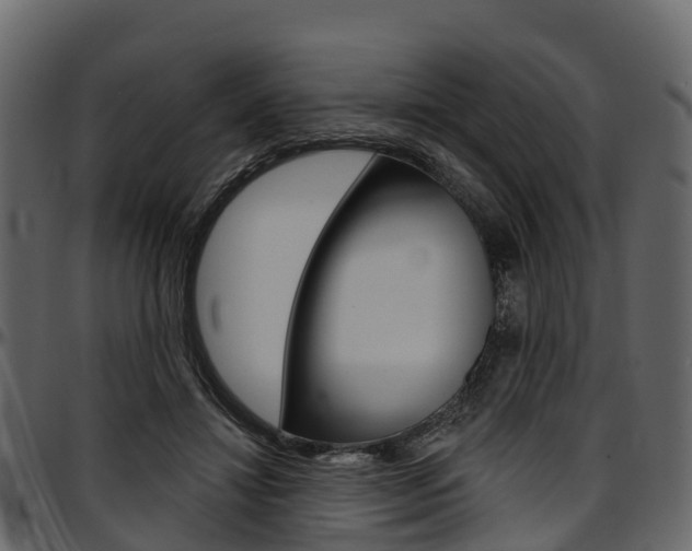 X0000097610452200802290800