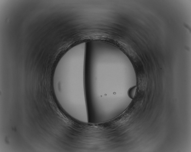 X0000097610453200802290800