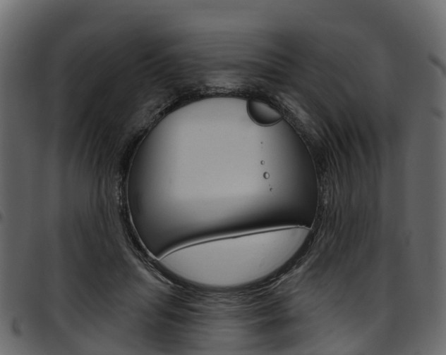 X0000097610455200802290800