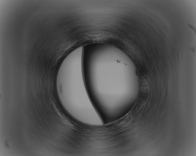 X0000097610456200802290800