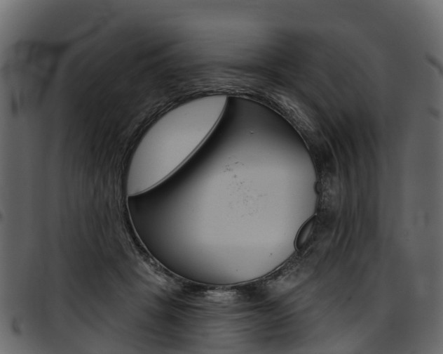 X0000097610457200802290800