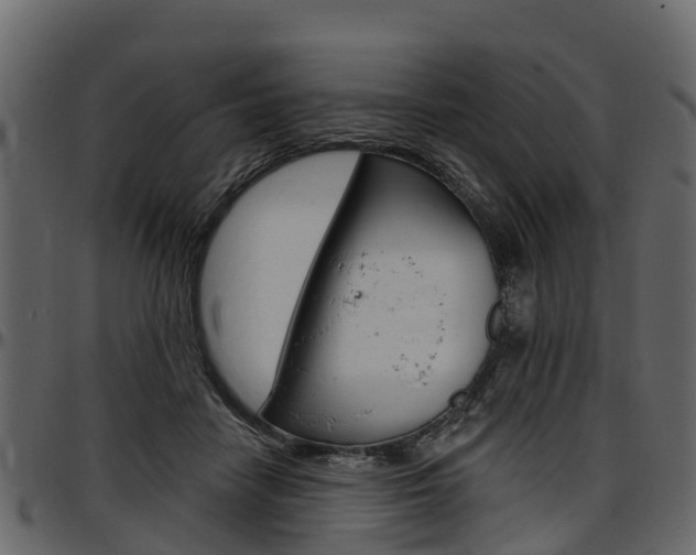 X0000097610458200802290800