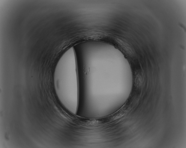 X0000097610459200802290800