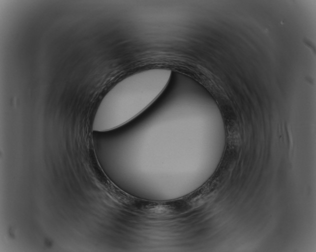X0000097610460200802290800