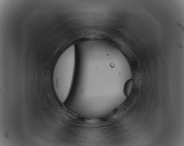X0000097610461200802290800