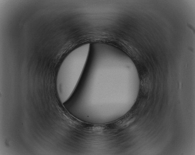 X0000097610462200802290800