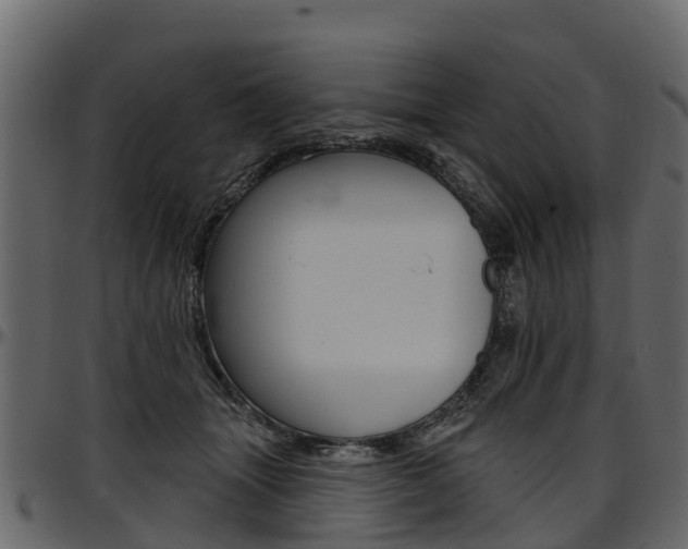 X0000097610463200802290800