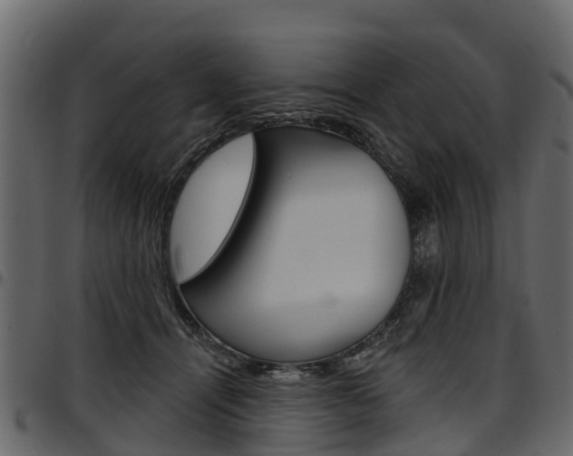X0000097610464200802290800