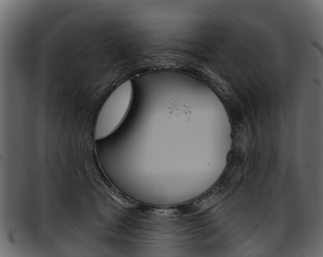 X0000097610465200802290800