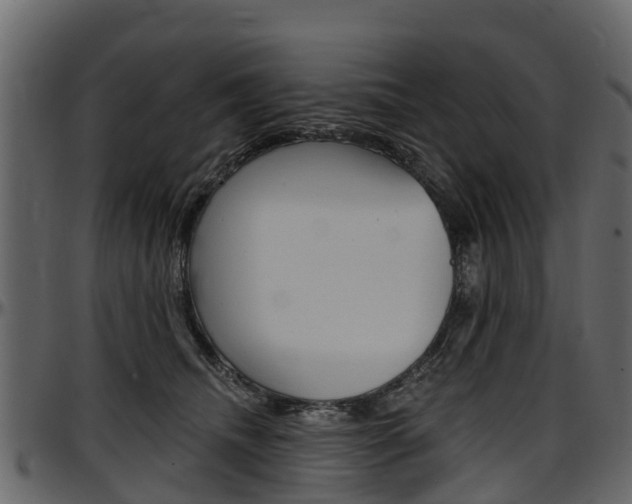 X0000097610468200802290800