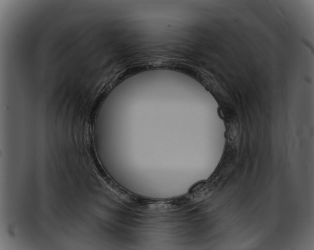 X0000097610470200802290800