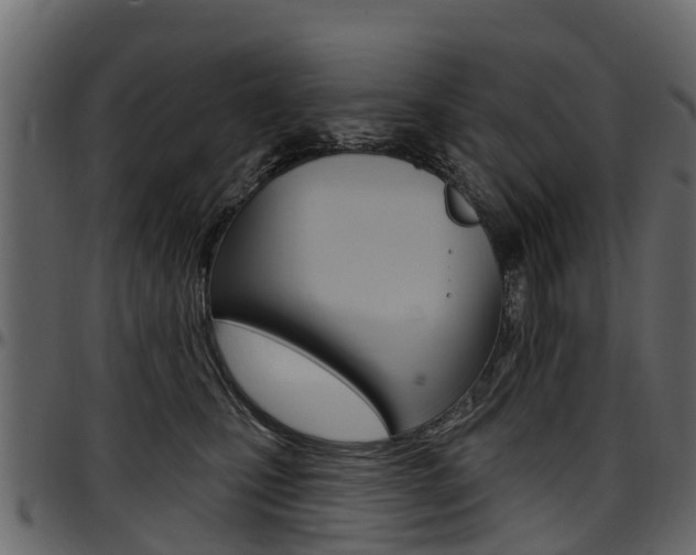 X0000097610471200802290800